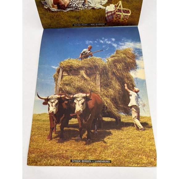 Vintage 1950s Nova Scotia Camera Tour Souvenir Booklet 12" x 9" Canada - Picture 9 of 9